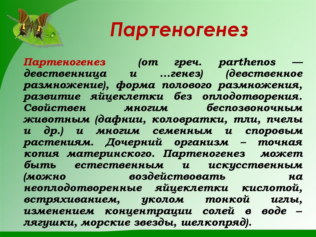 Партеногенез