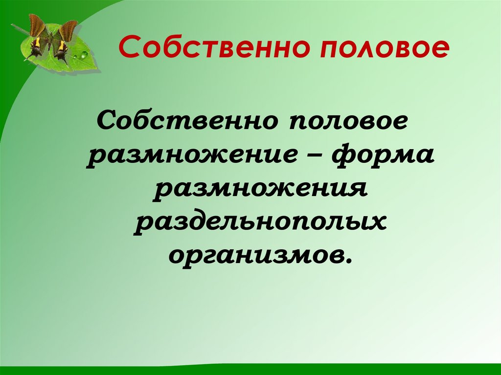 Собственно половое