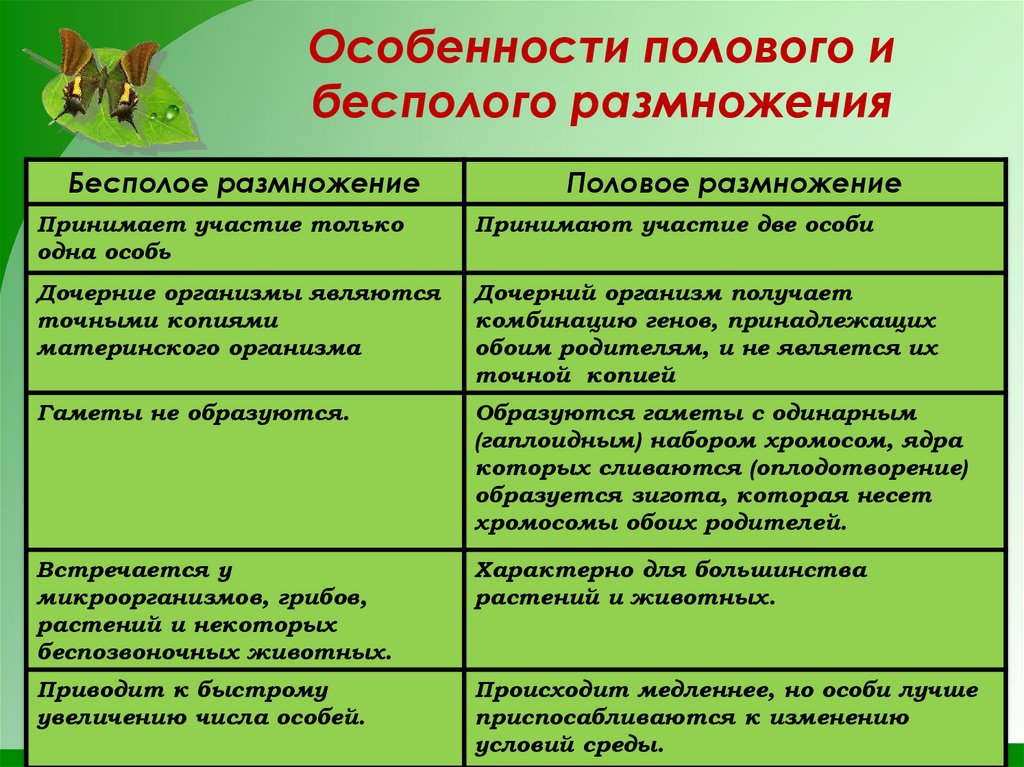 Особенности полового и бесполого размножения