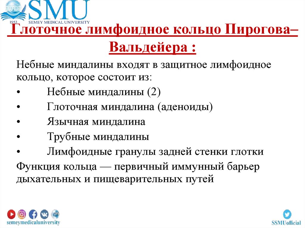 Глоточное лимфоидное кольцо Пирогова–Вальдейера :