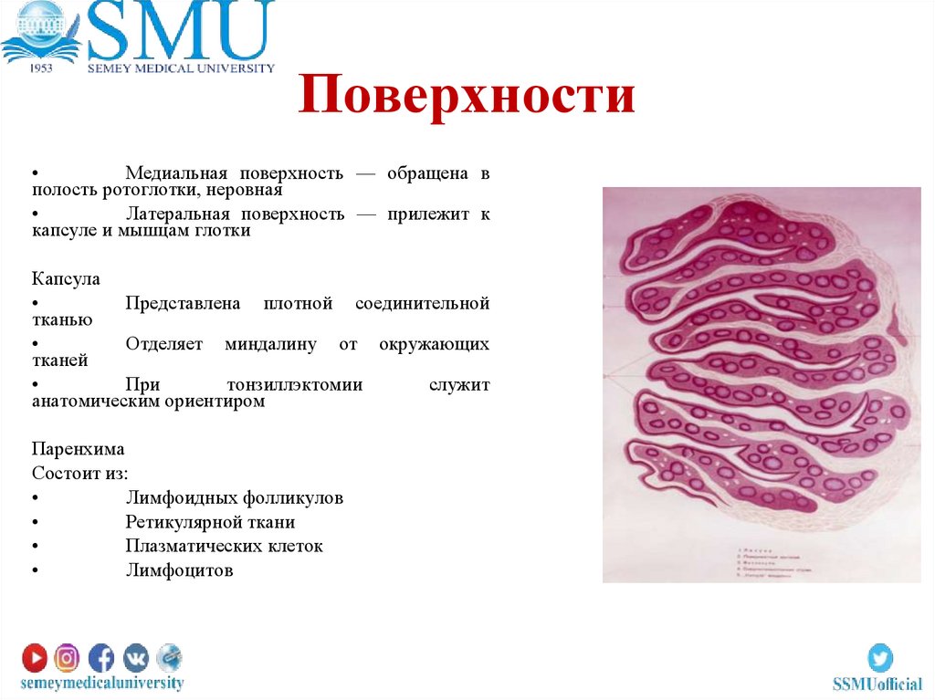 Поверхности