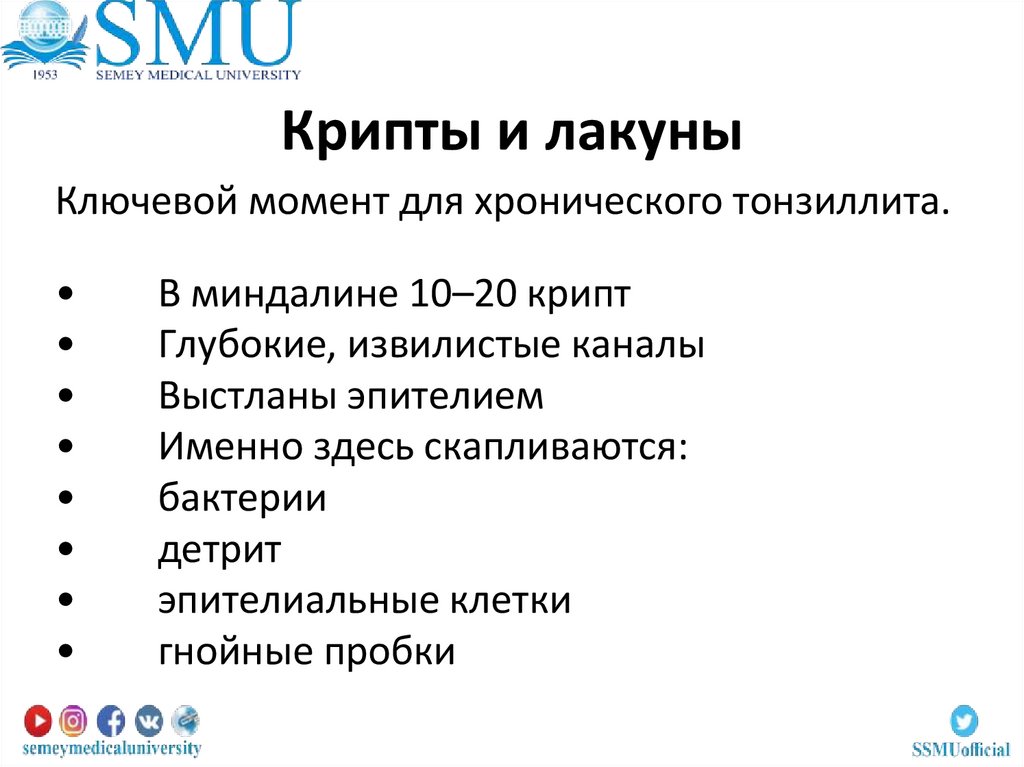 Крипты и лакуны