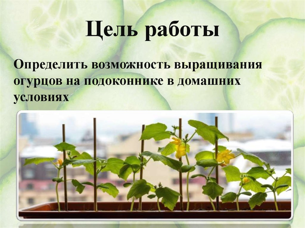 Цель работы