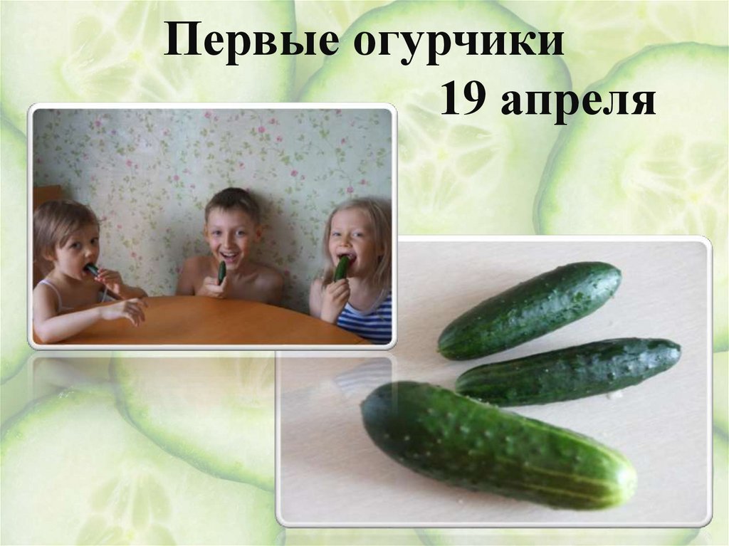 Подвязка стеблей 7 апреля