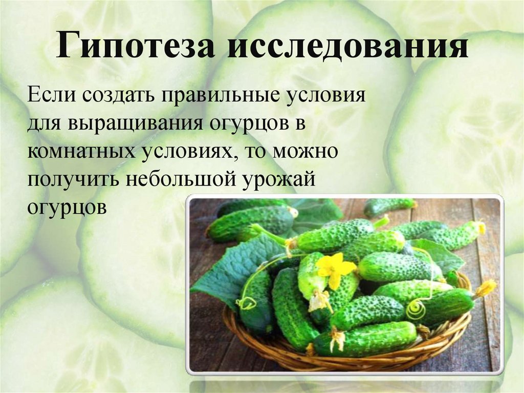 Гипотеза исследования