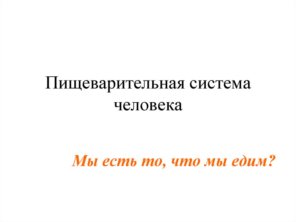 Пищеварительная система человека
