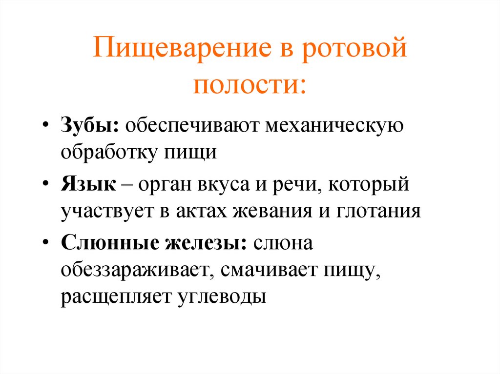 Пищеварение в ротовой полости: