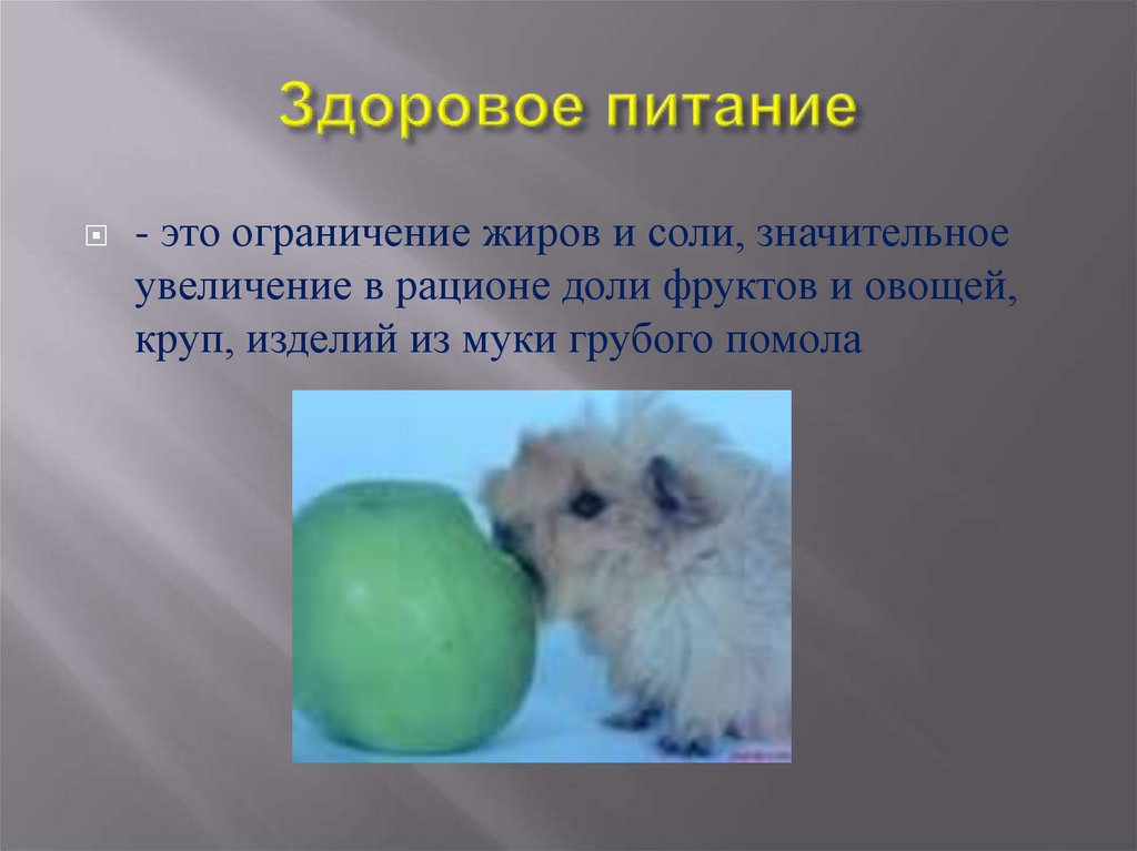 Здоровое питание