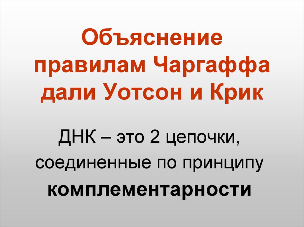 Объяснение правилам Чаргаффа дали Уотсон и Крик