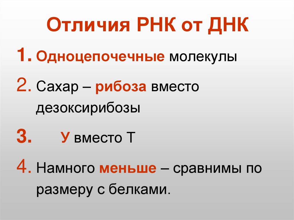 Отличия РНК от ДНК