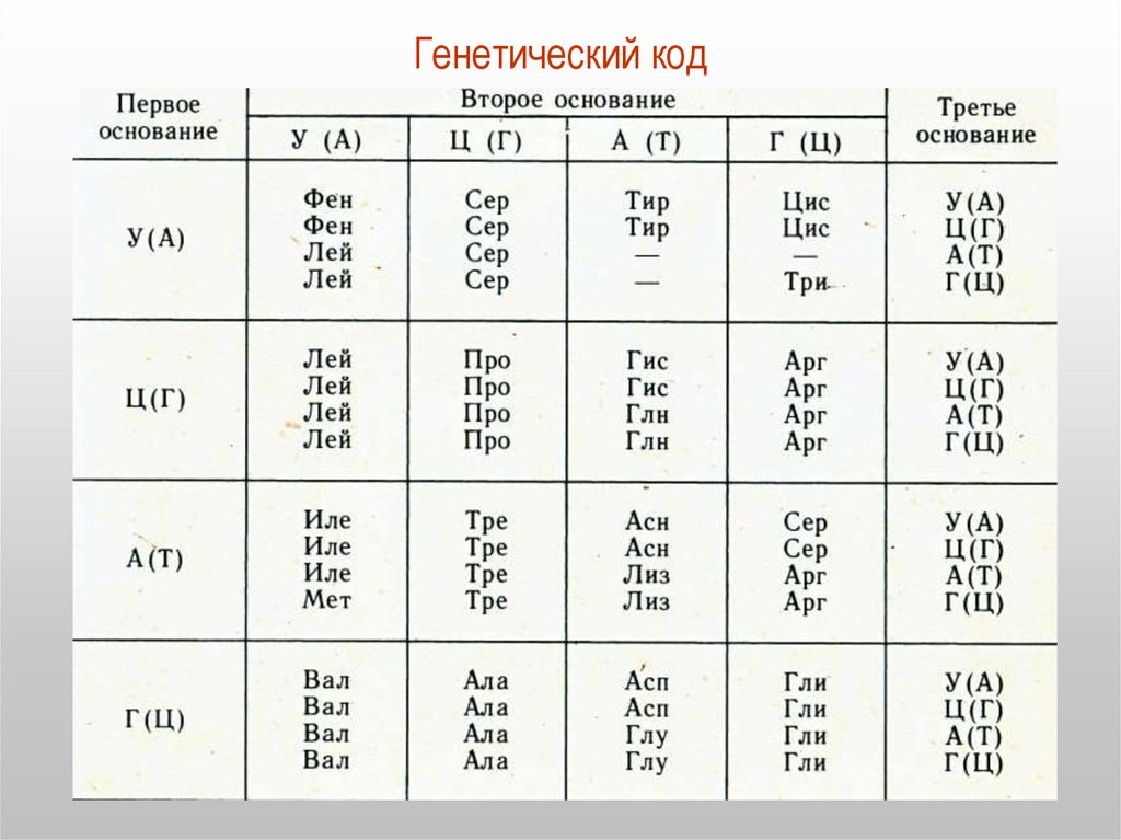 Генетический код