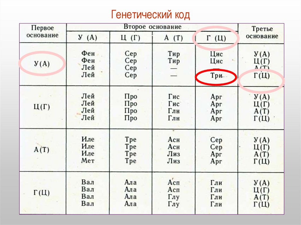 Генетический код