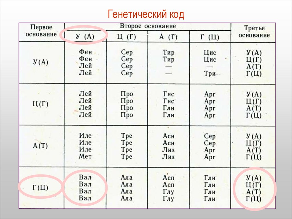Генетический код