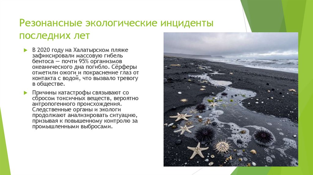 Резонансные экологические инциденты последних лет