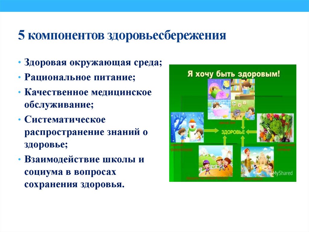 5 компонентов здоровьесбережения