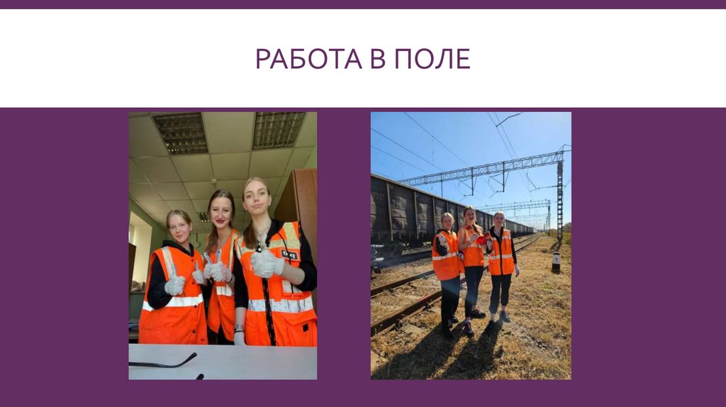 Работа в поле