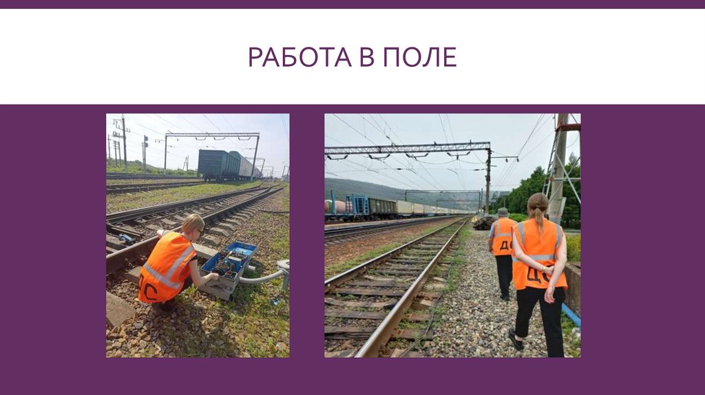 Работа в поле