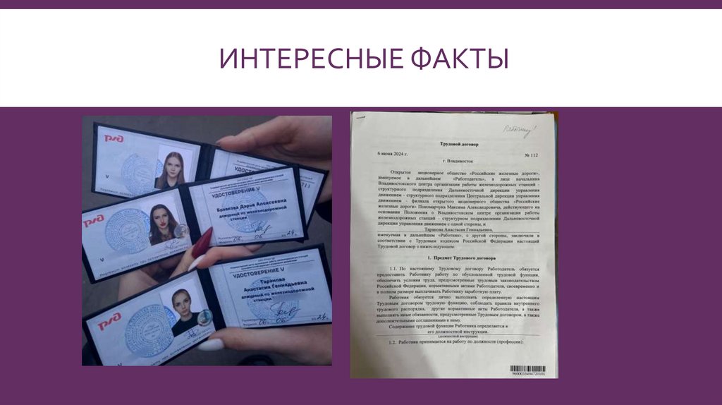 интересные факты