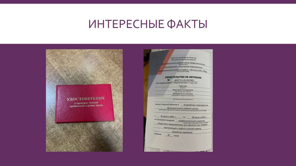 Интересные факты