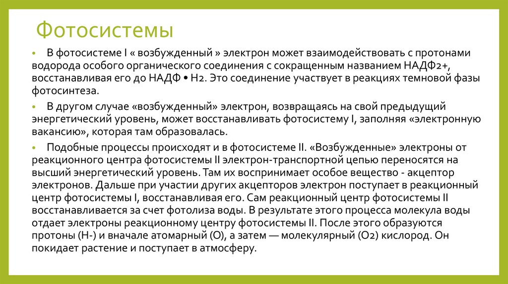 Фотосистемы