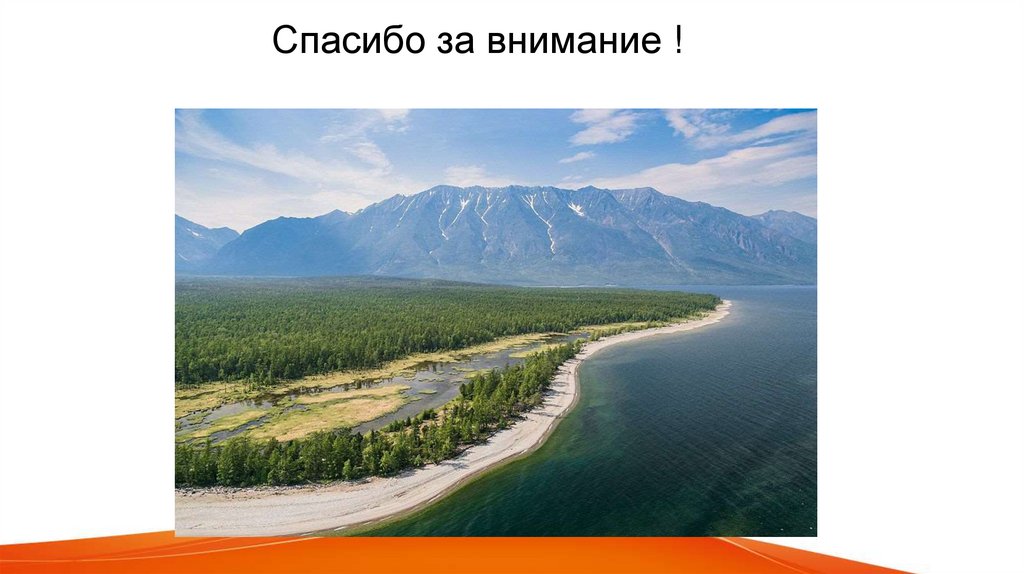 Спасибо за внимание !