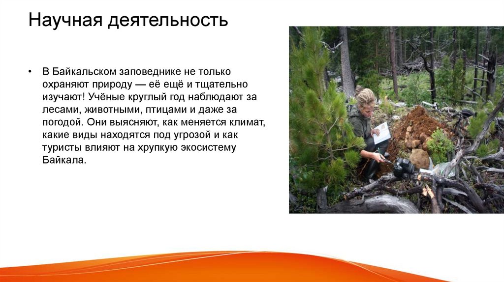 Научная деятельность