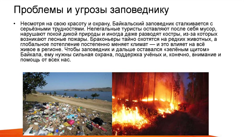 Проблемы и угрозы заповеднику