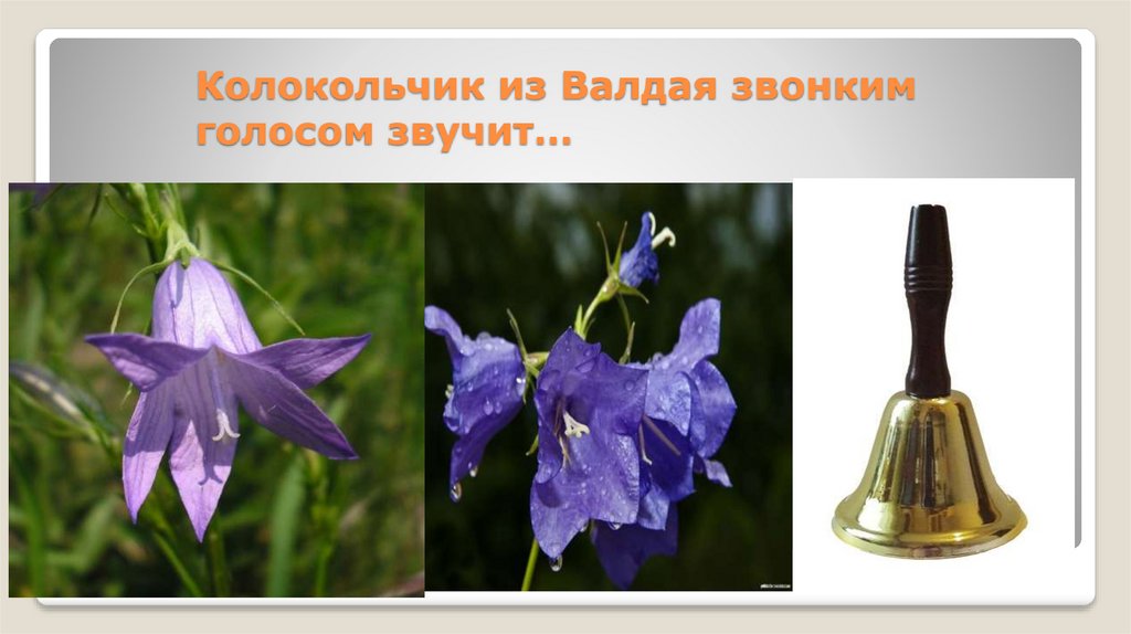 НАПИСАНИЕ СОЧИНЕНИЯ