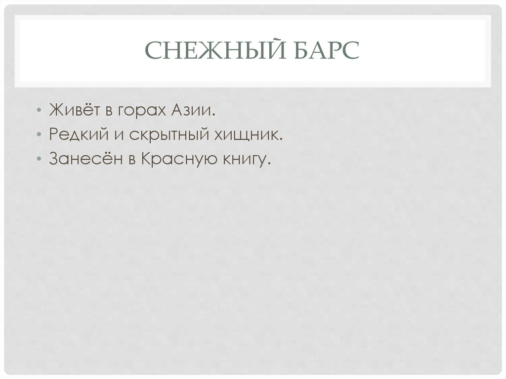 Снежный барс