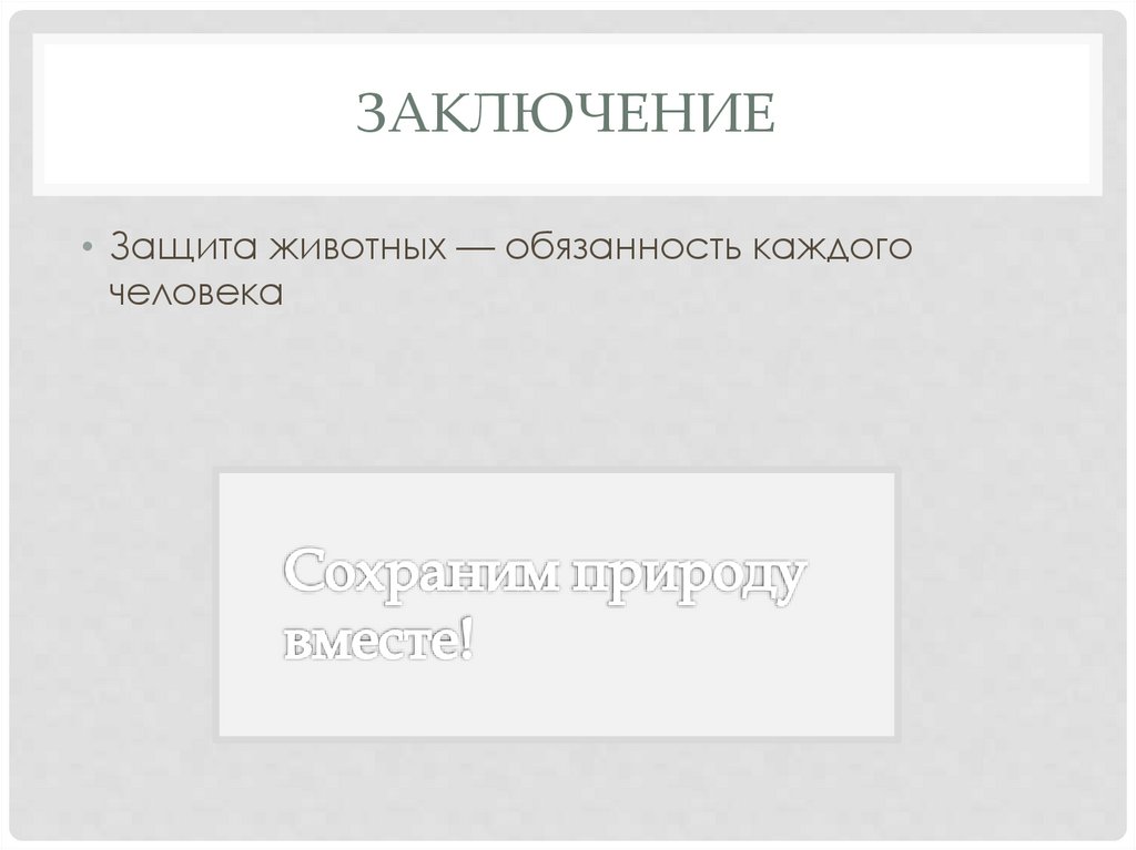 Заключение