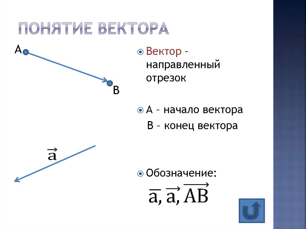 Понятие вектора