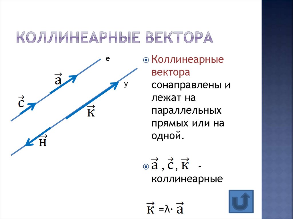 Коллинеарные вектора