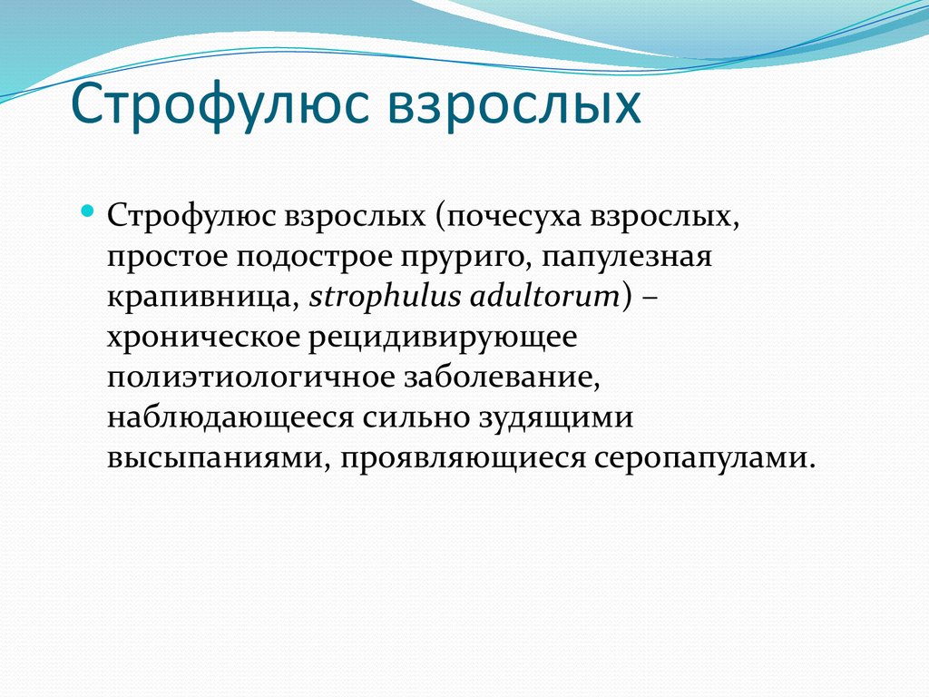 Строфулюс взрослых