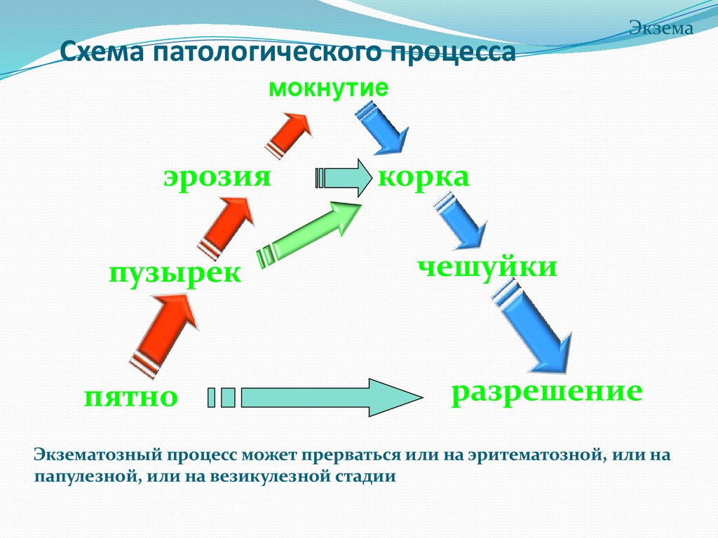 Схема патологического процесса