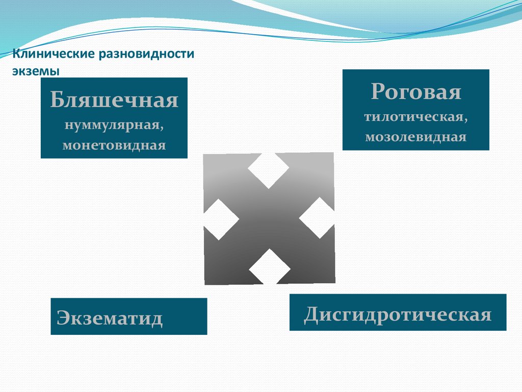 Клинические разновидности экземы