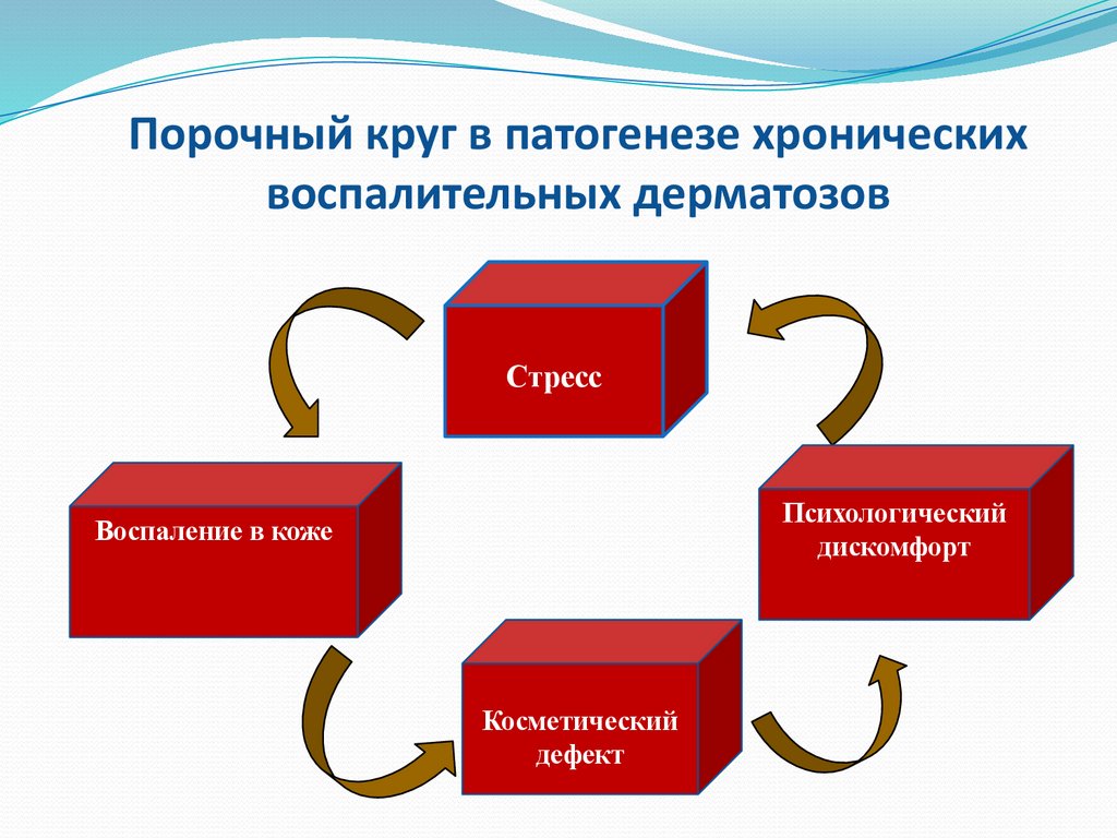 Порочный круг в патогенезе хронических воспалительных дерматозов