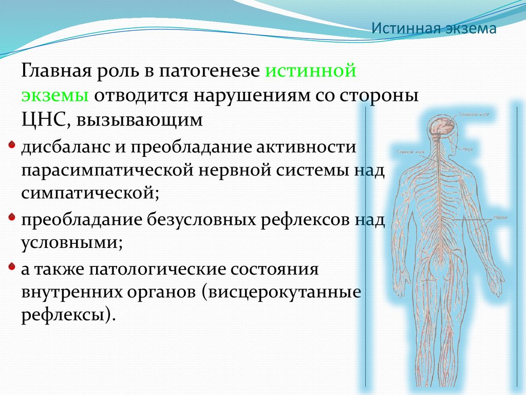 Истинная экзема