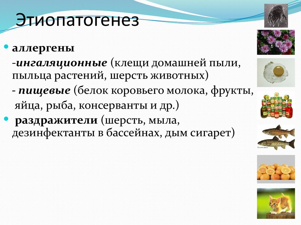 Этиопатогенез