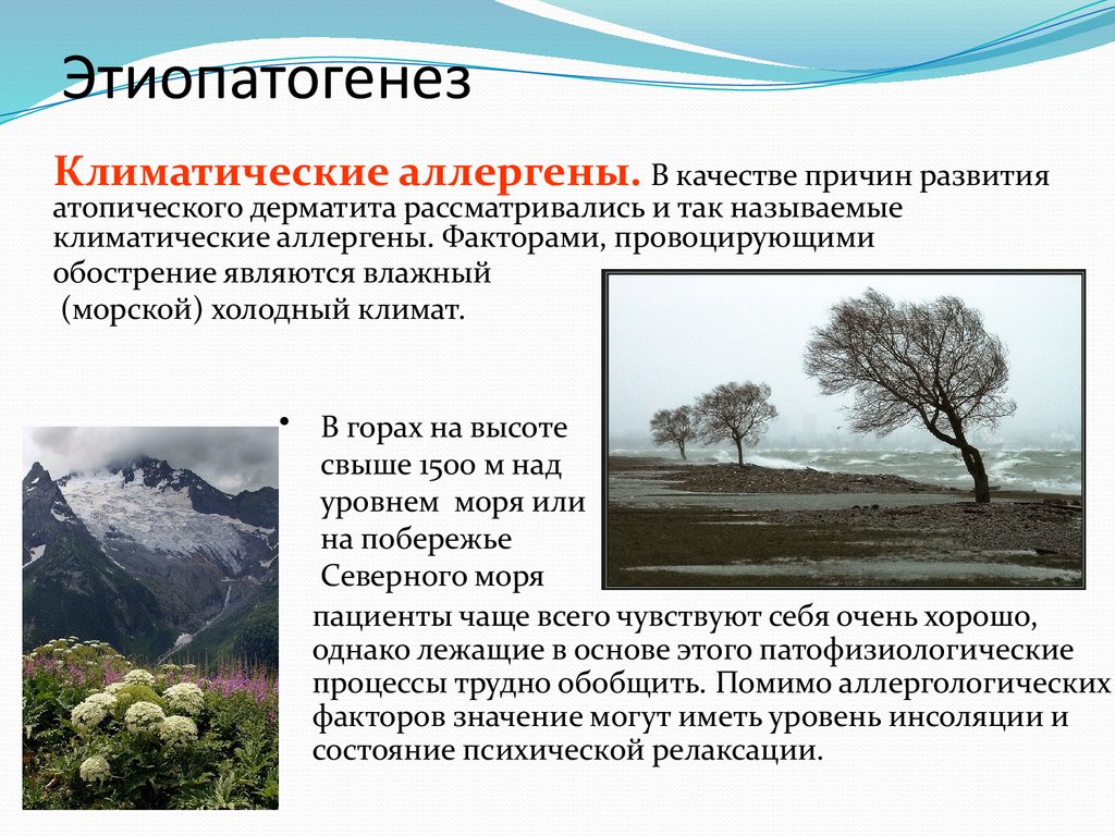 Этиопатогенез