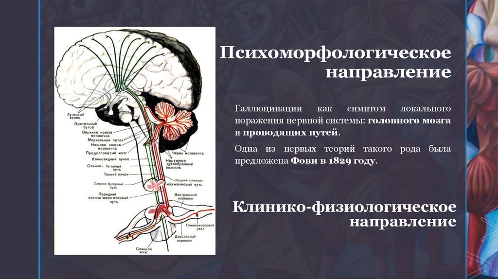 Психоморфологическое направление