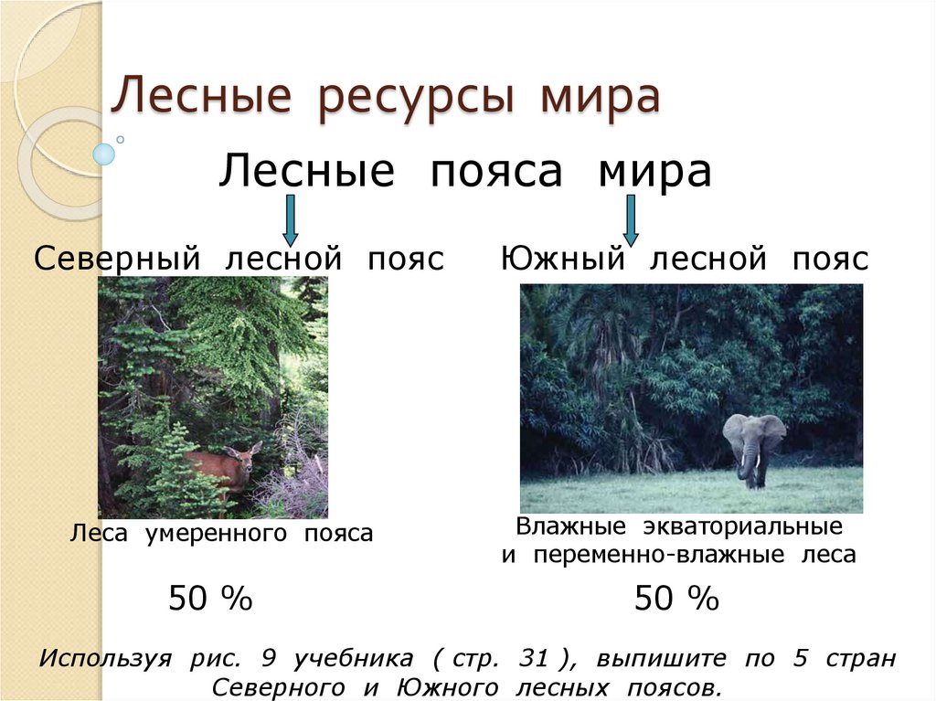 Лесные ресурсы мира
