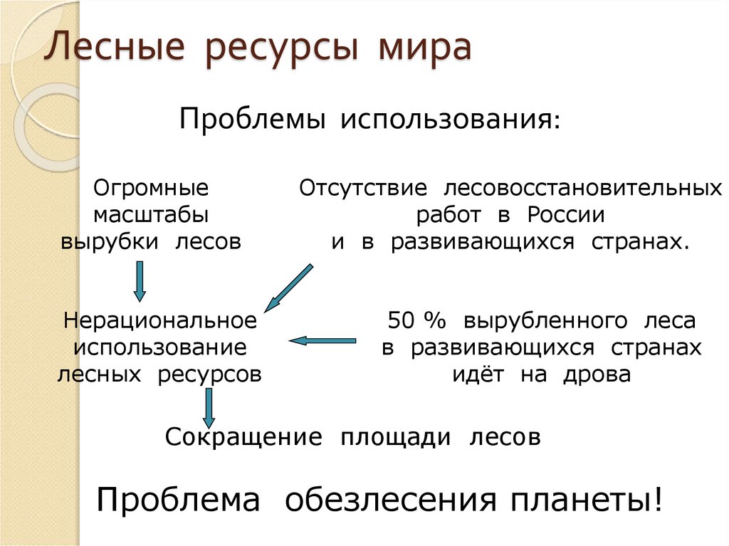 Лесные ресурсы мира