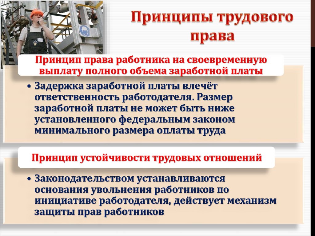 Своевременную и в полном объеме выплату. Своевременную и в полном объеме выплату