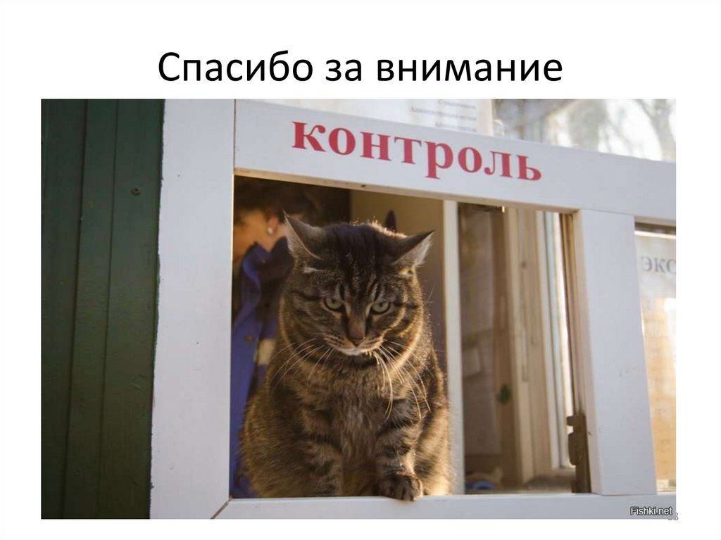 Спасибо за внимание