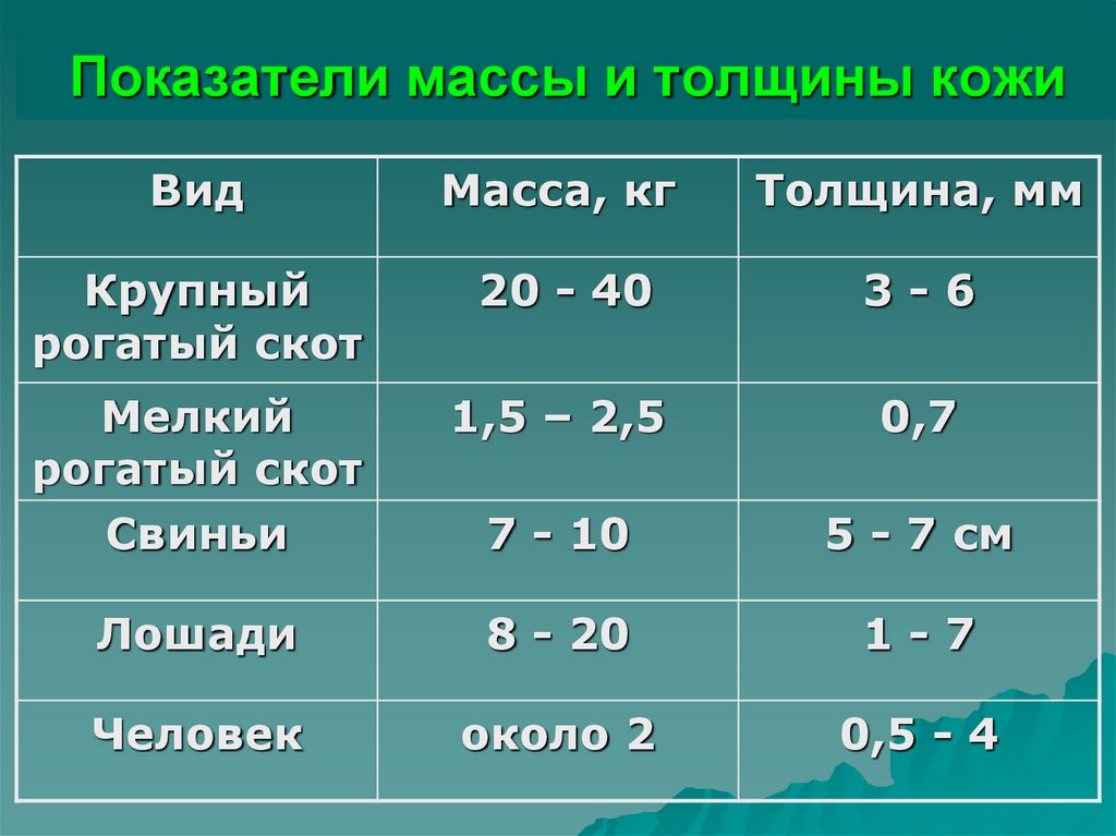 Показатели массы и толщины кожи