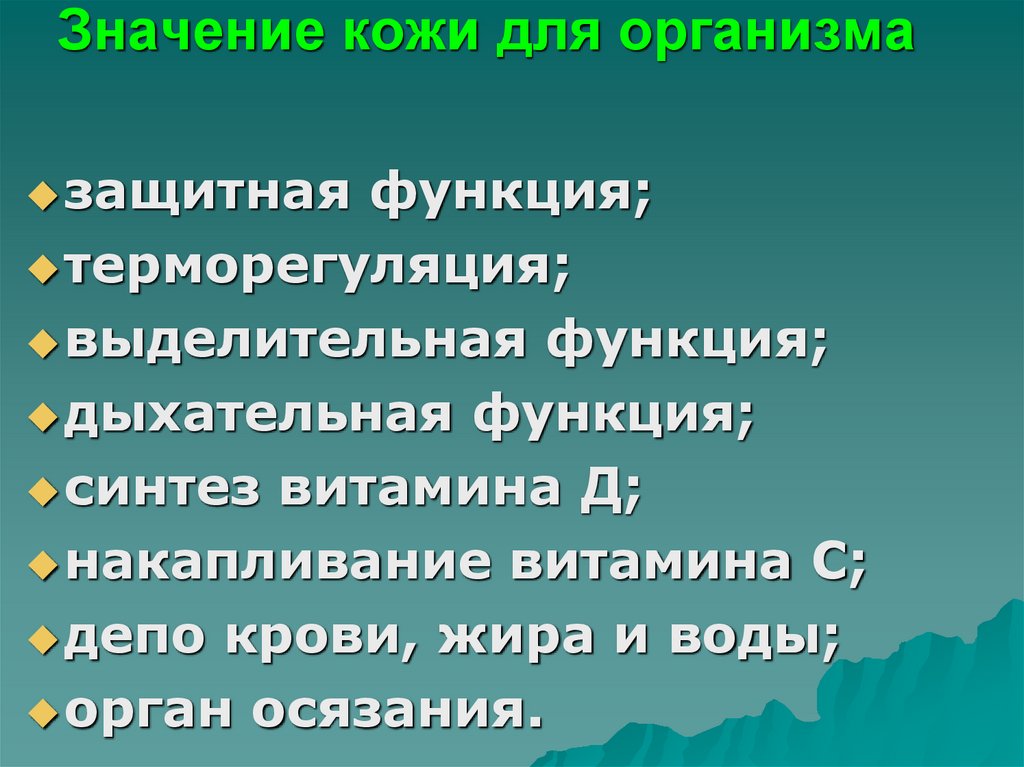 Значение кожи для организма