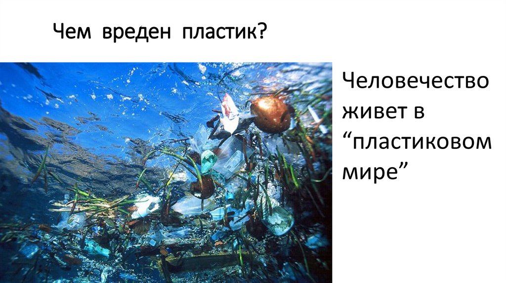Чем вреден пластик?