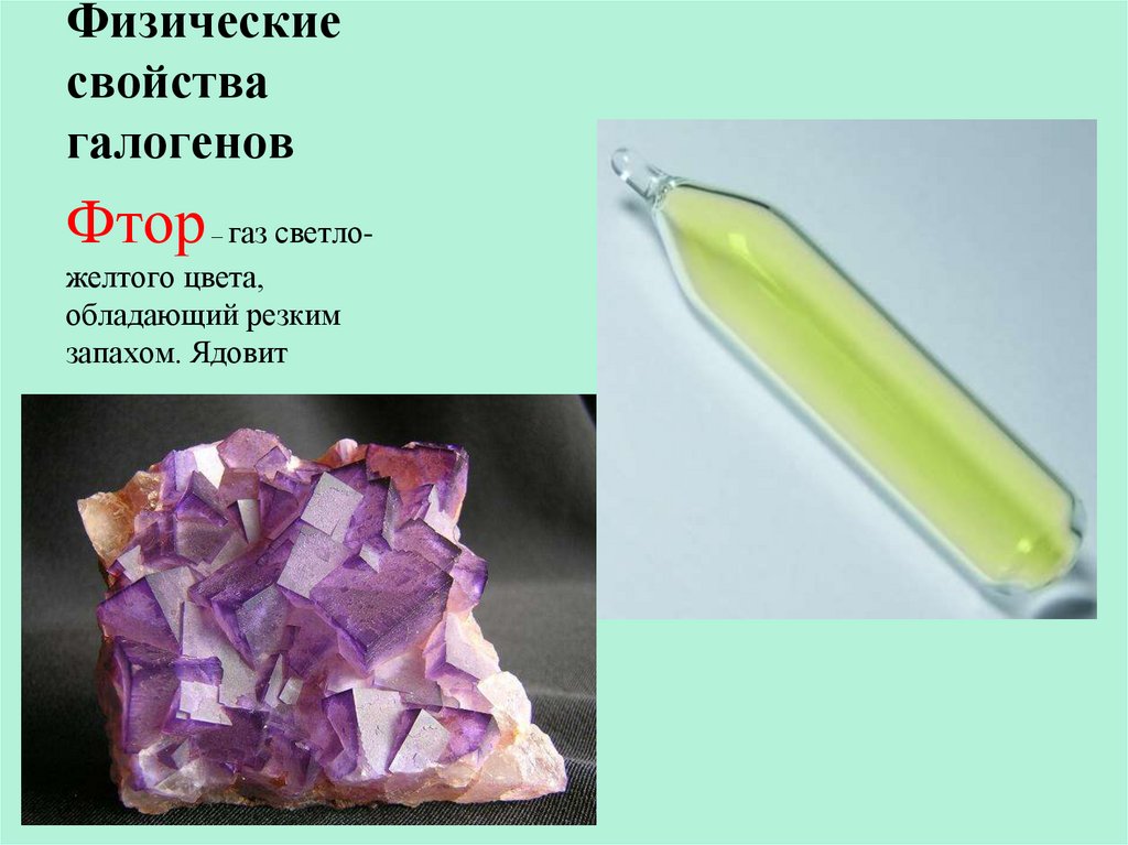 Физические свойства галогенов