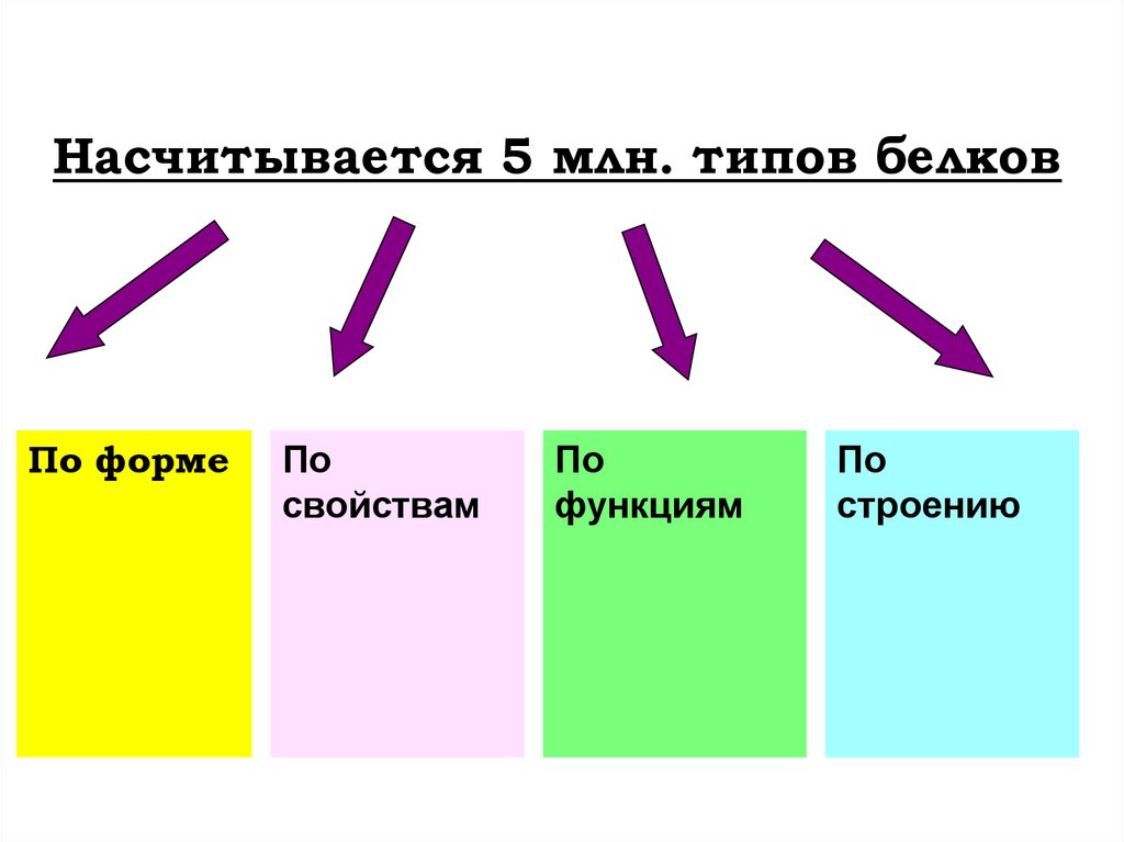 Насчитывается 5 млн. типов белков