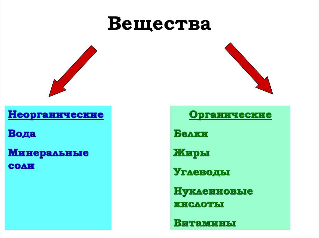 Вещества